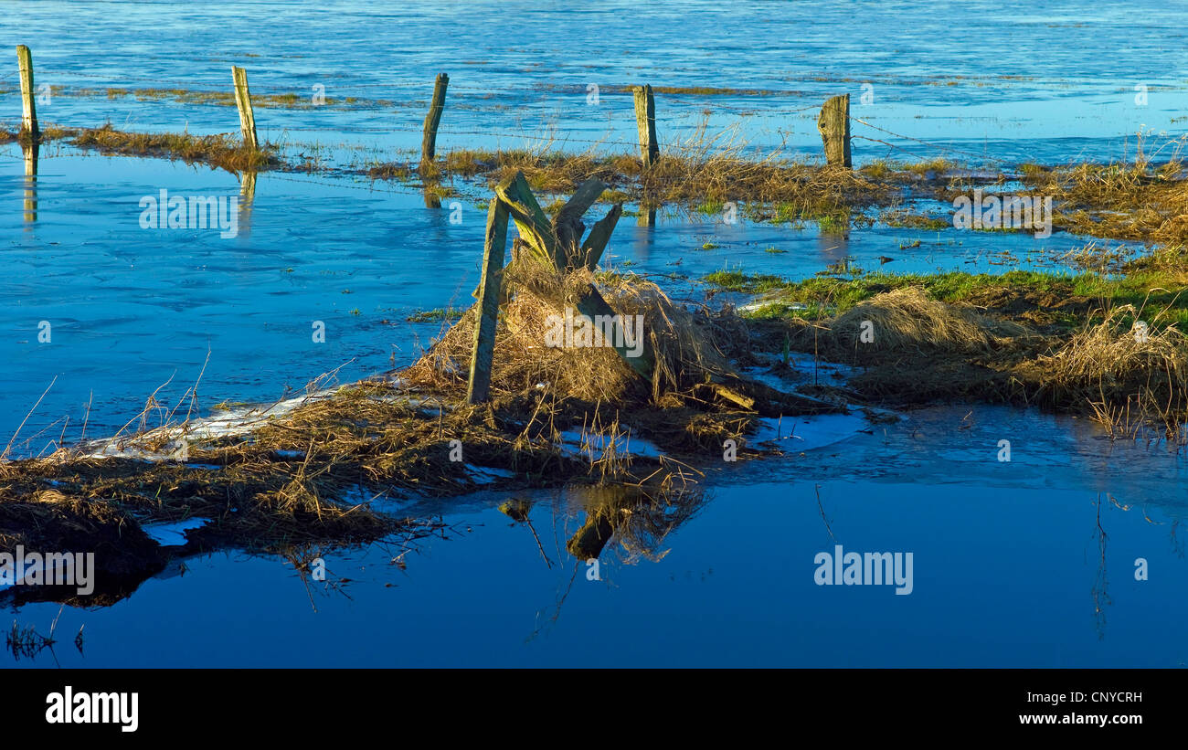 floated nature reserve Breites Wasser, Germany, Lower Saxony, Osterholz, Worpswede Stock Photo