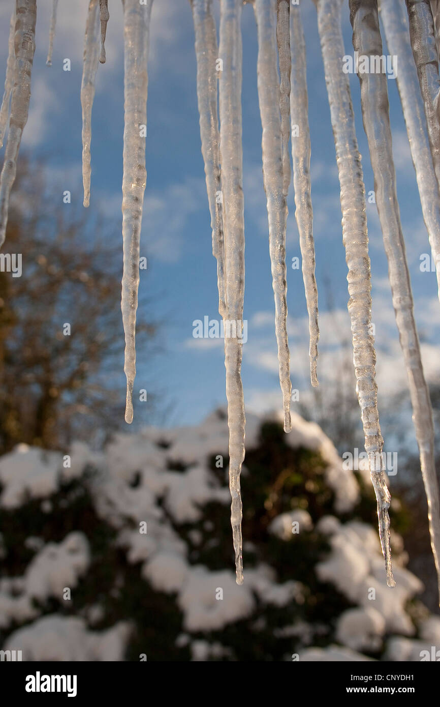 Icicle sculptures hires stock photography and