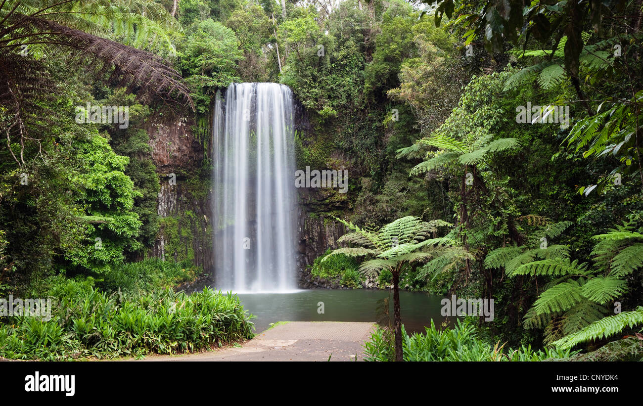 Millaa Millaa Falls, Australia, Queensland, Atherton Tablelands Stock Photo Alamy