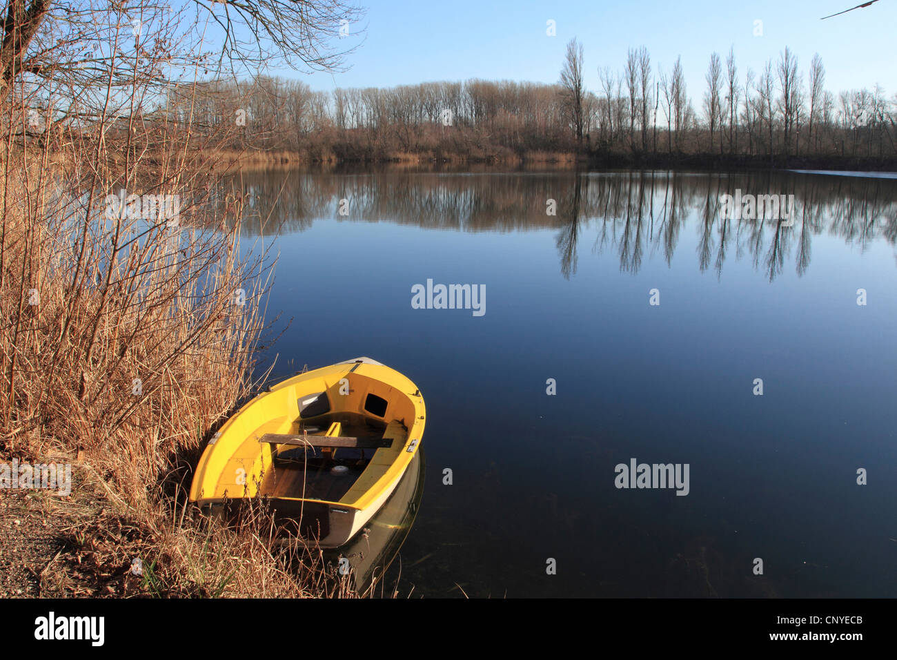 landscape at the Old Rhine with a boat roped at the riverside on a sunny winter day, Germany Stock Photo