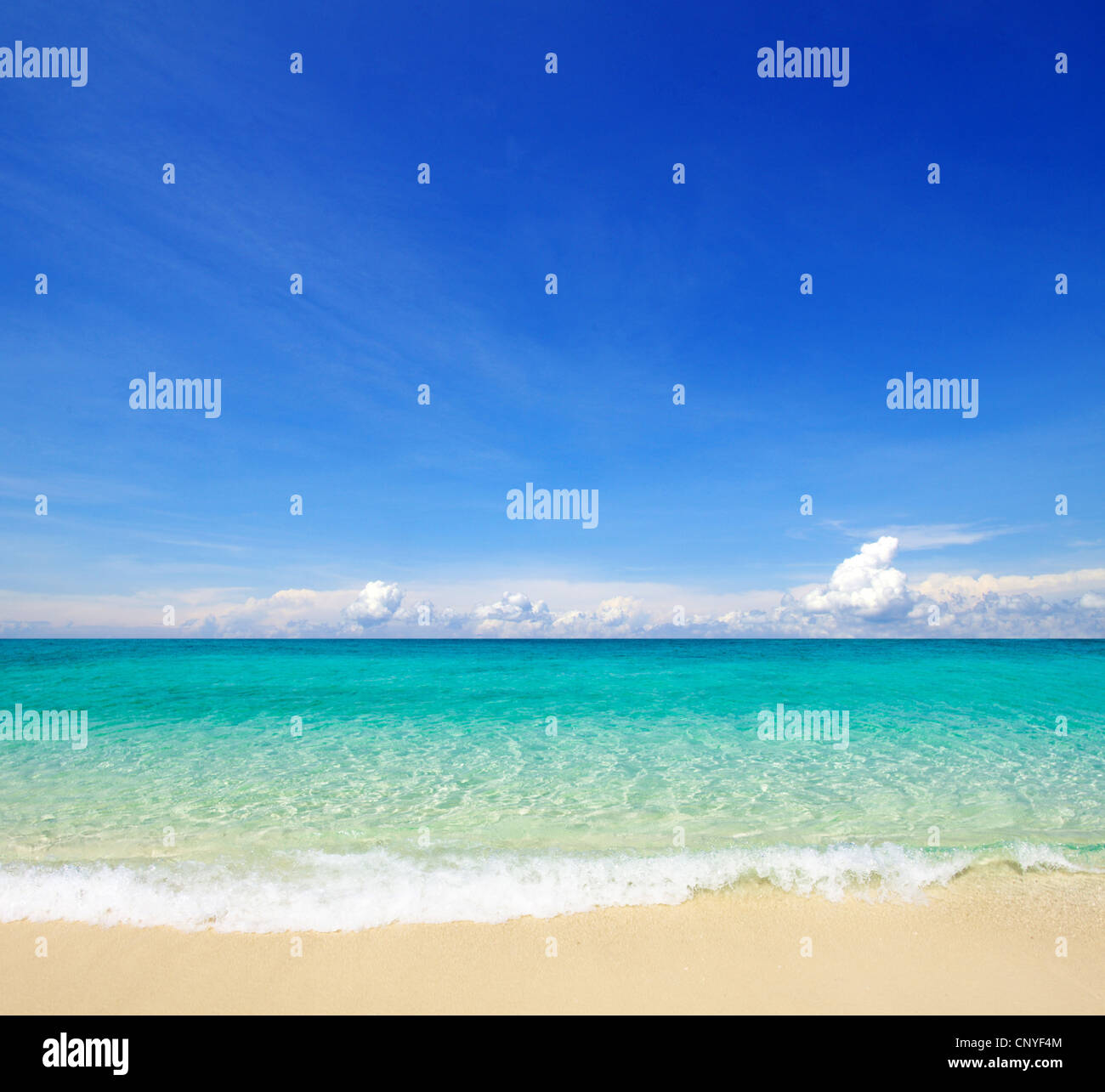 beautiful beach and tropical sea Stock Photo