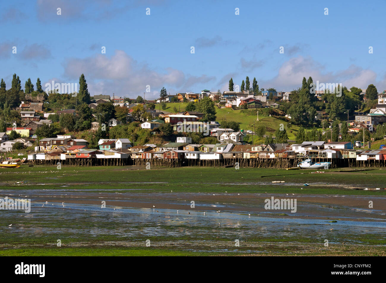 Houses on stilts or palafitos at low tide Castro Chiloe Island Chile Stock Photo