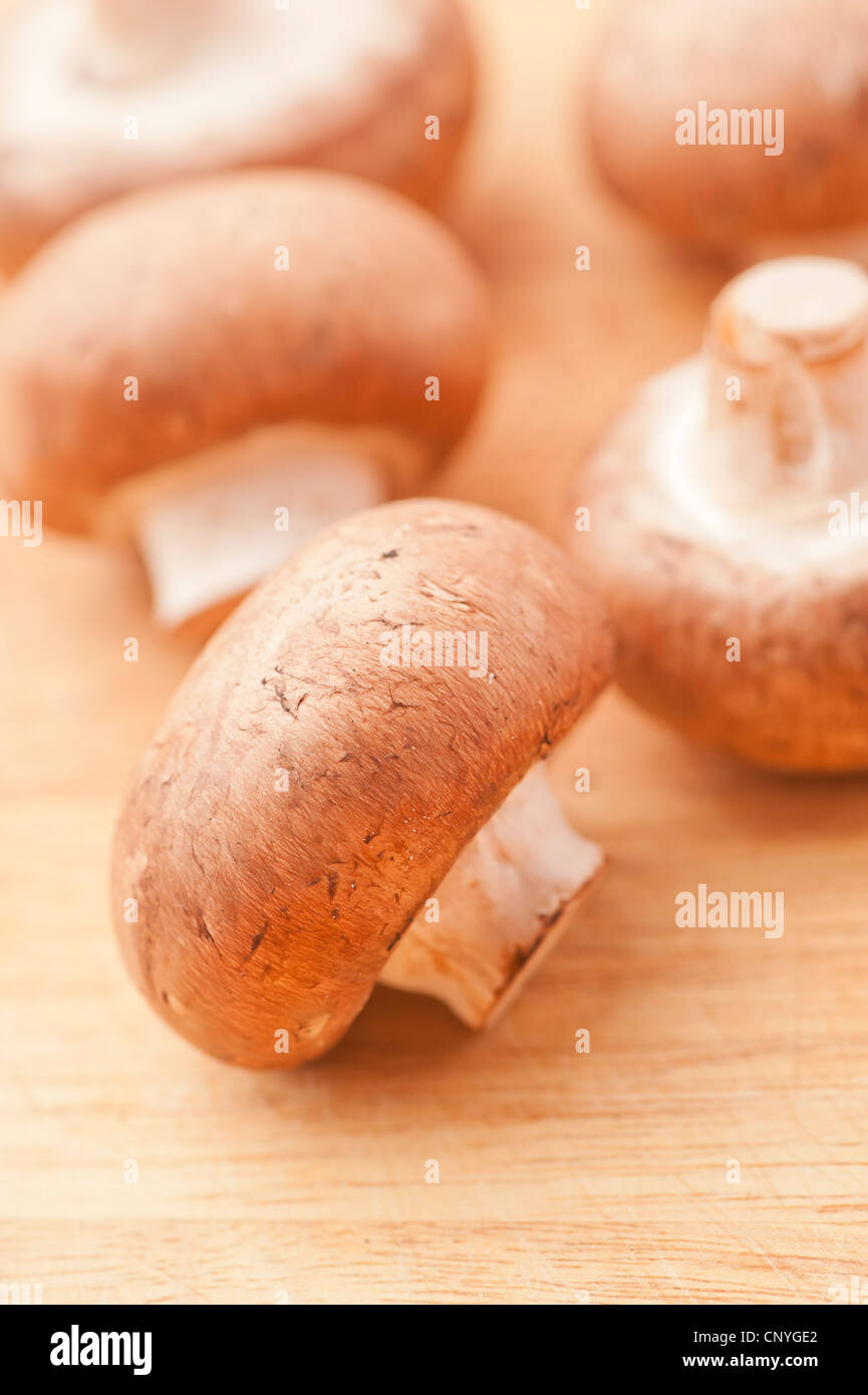 Chestnut mushrooms on a cutting board Stock Photo