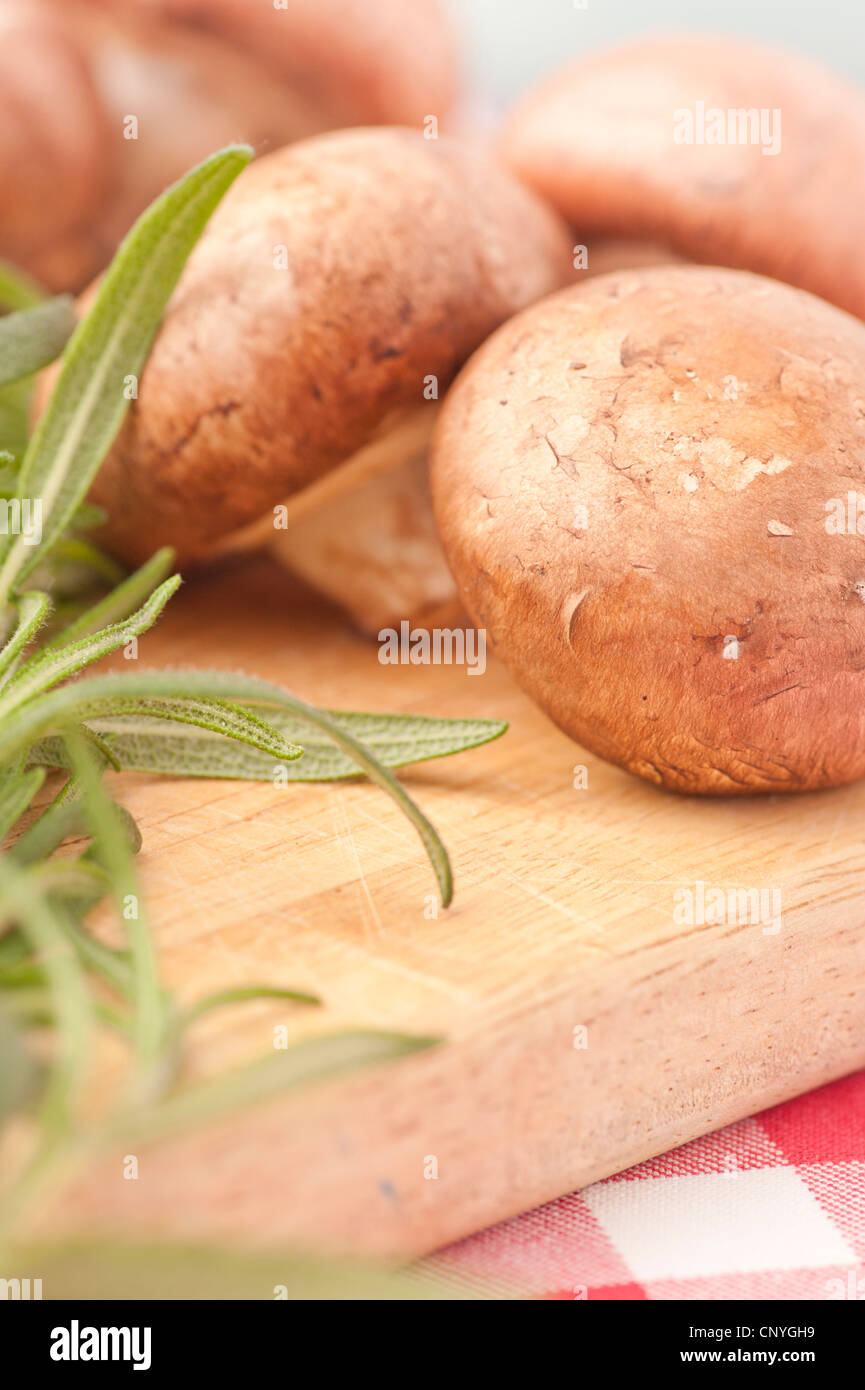 Chestnut mushrooms and Rosemary on a cutting board Stock Photo