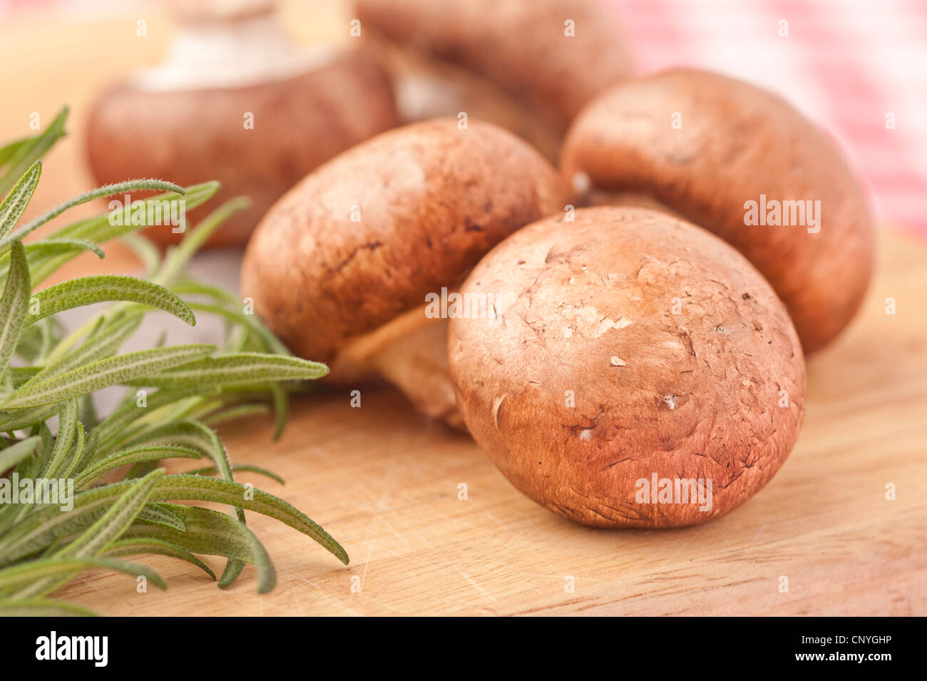 Chestnut mushrooms and Rosemary on a cutting board Stock Photo