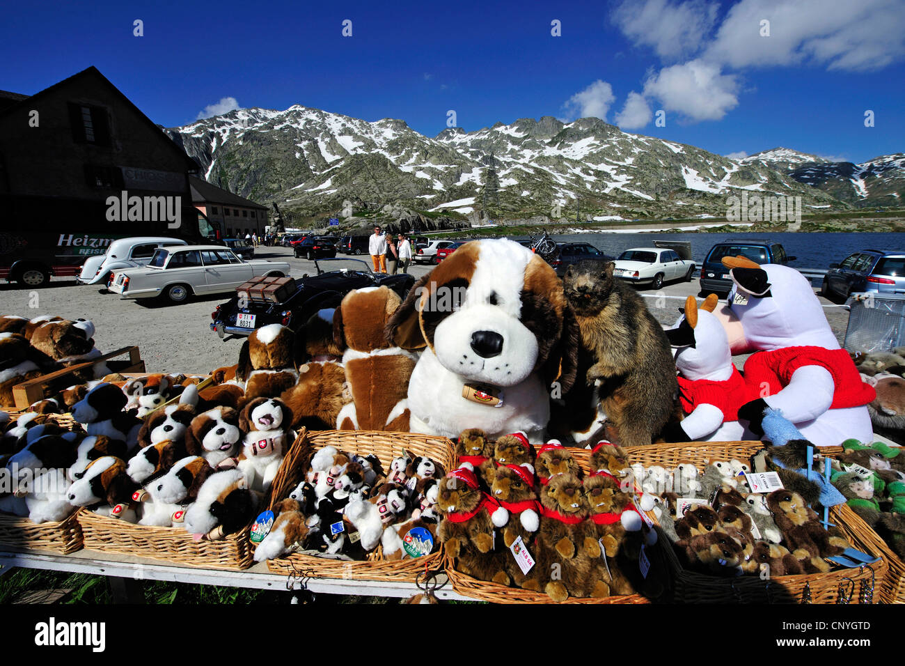 Saint Bernard Dogs as cuddle toys at souvenir shop of Gotthard Pass, Switzerland Stock Photo