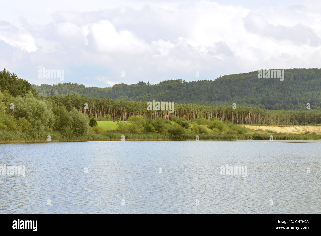 view over a lake with forested shore, Germany, Bavaria, Upper Palatinate Stock Photo