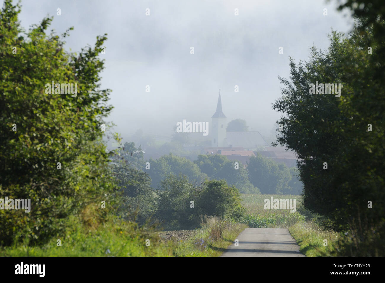 narrow road leading to a village veiled by morning mist, Germany, Bavaria, Upper Palatinate Stock Photo