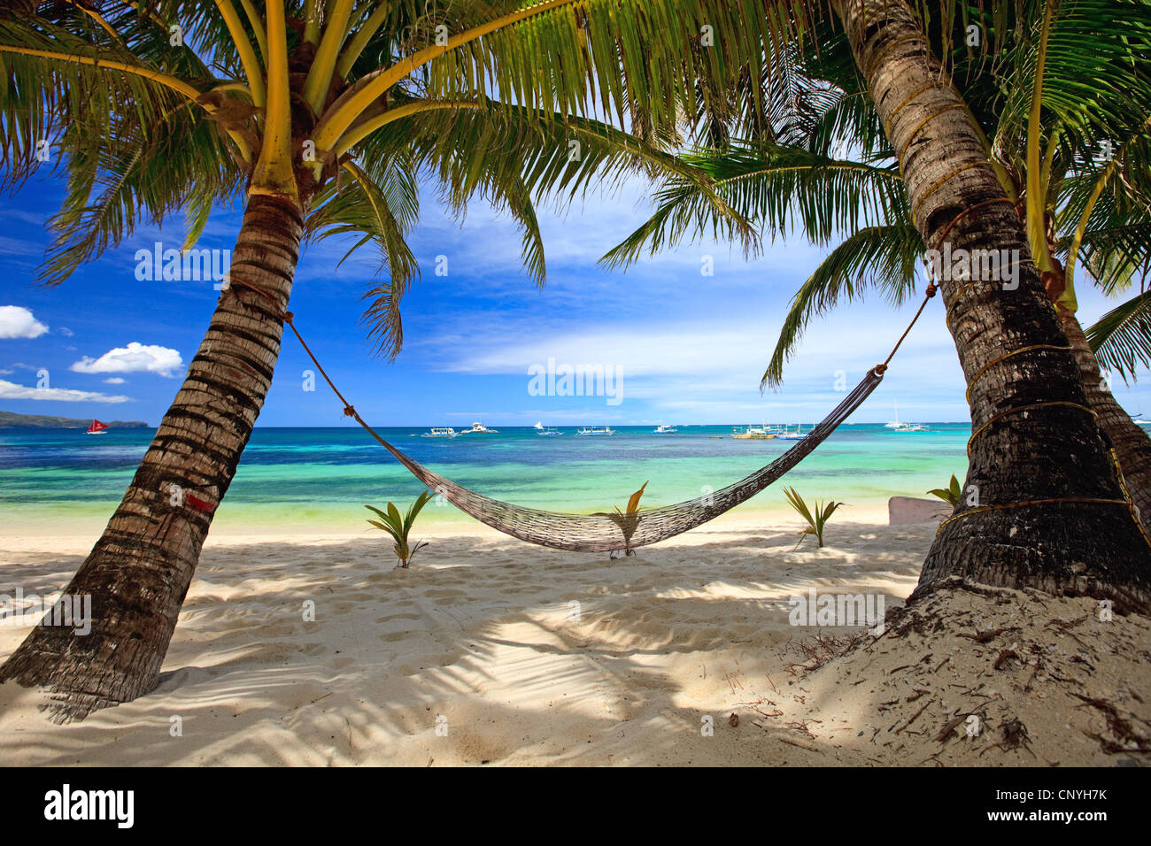 hammock between two palm trees at tropical beach, Philippines, Boracay Stock Photo