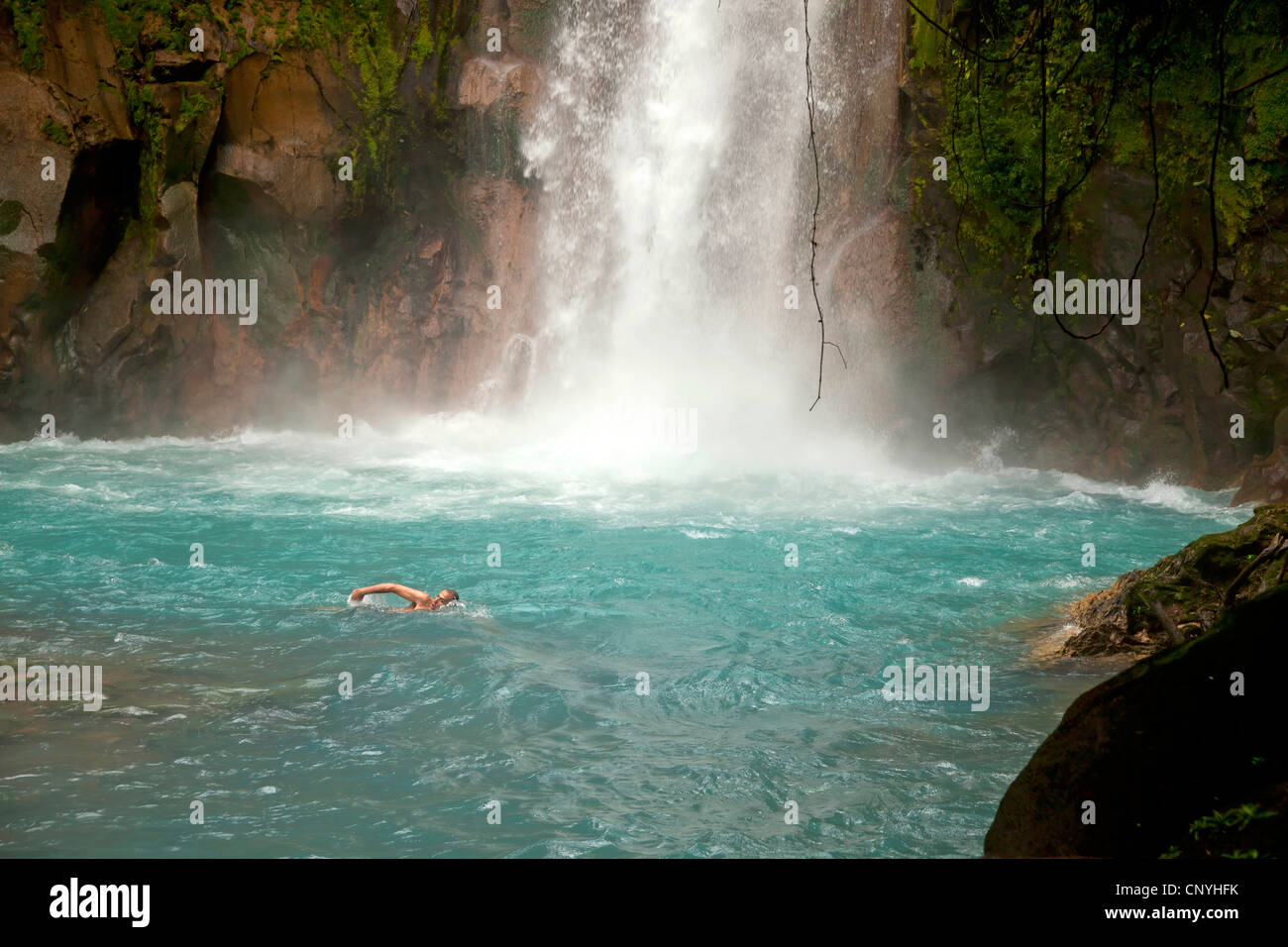 tourist swimming at the Waterfall with the blue waters of the Rio Celeste in VolcanTenorio National Park, Costa Rica, Stock Photo