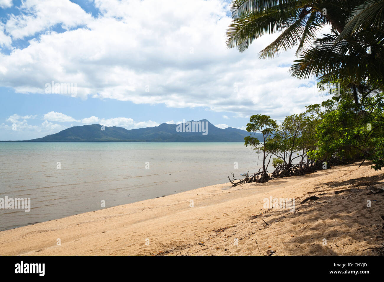 Cardwell Beach with Hinchinbrook Island, Australia, Queensland Stock Photo Alamy Cardwell Beach with Hinchinbrook Island, Australia, Queensland Stock Photo Alamy