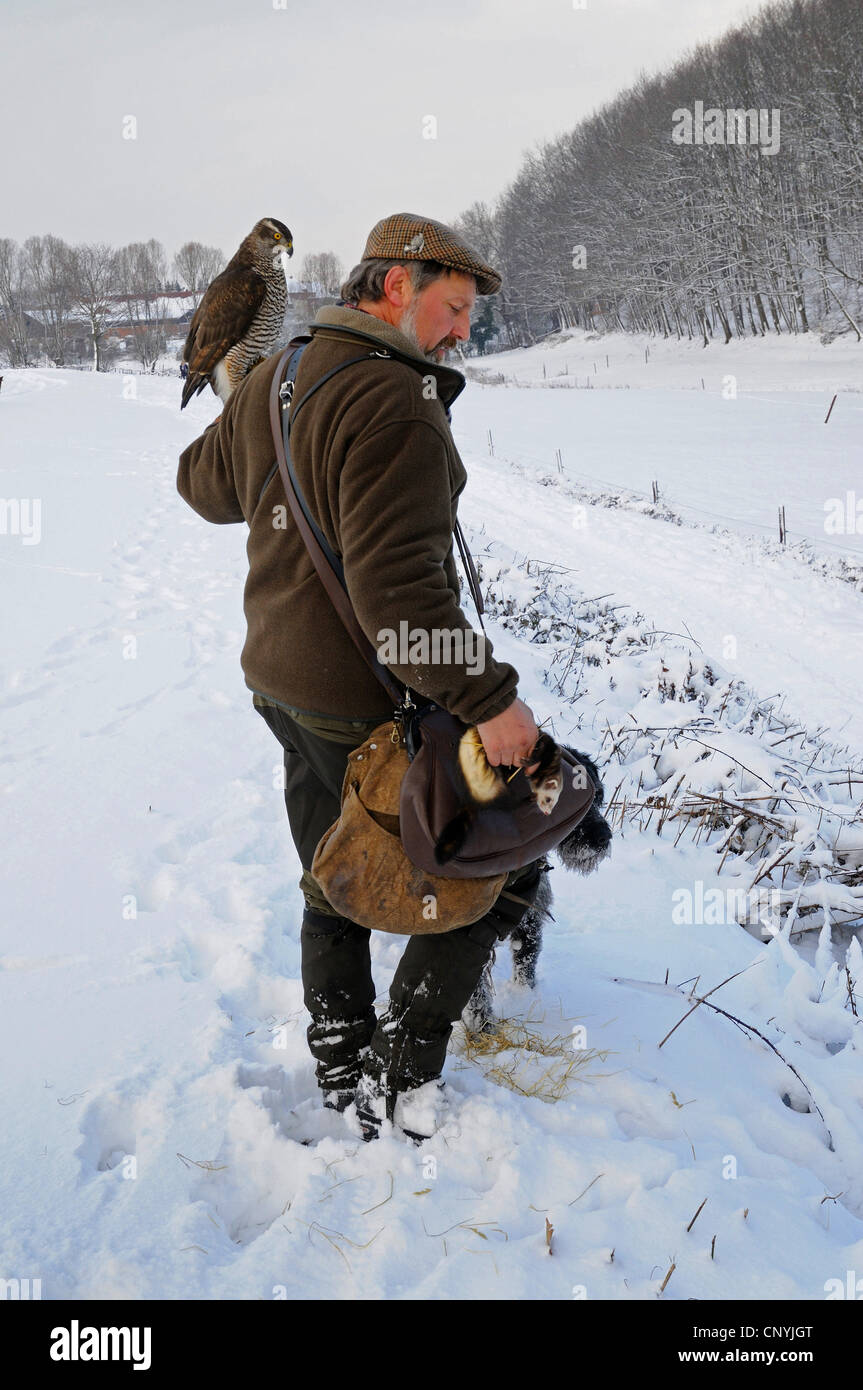 Rabbits hunting hires stock photography and images Alamy