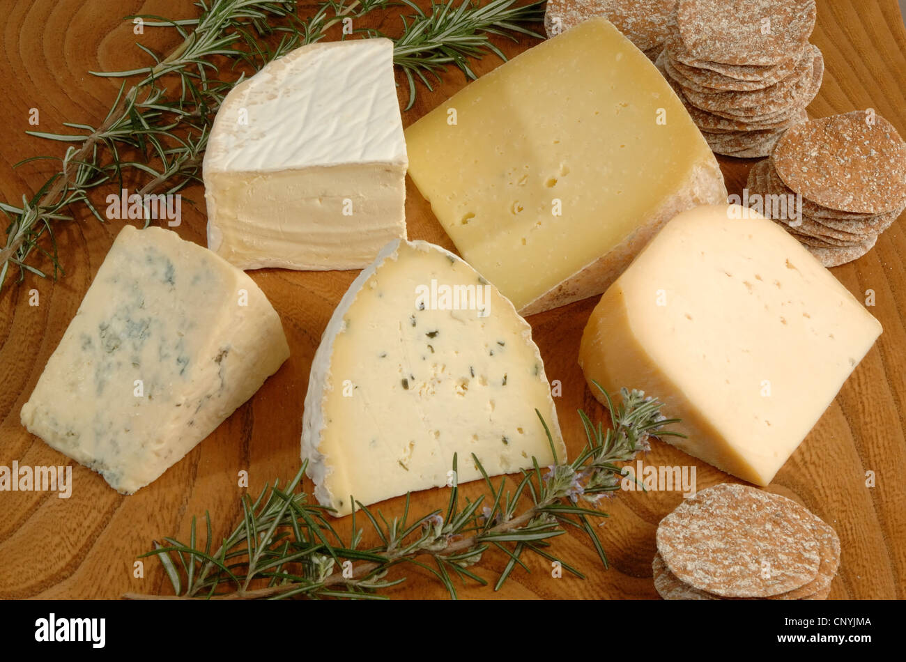 A selection of west country cheeses from the west of England UK Stock Photo