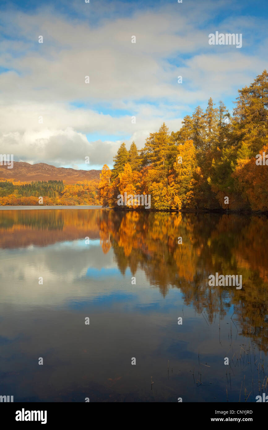 Loch Alvie in autumn, United Kingdom, Scotland, Cairngorms National Park Stock Photo