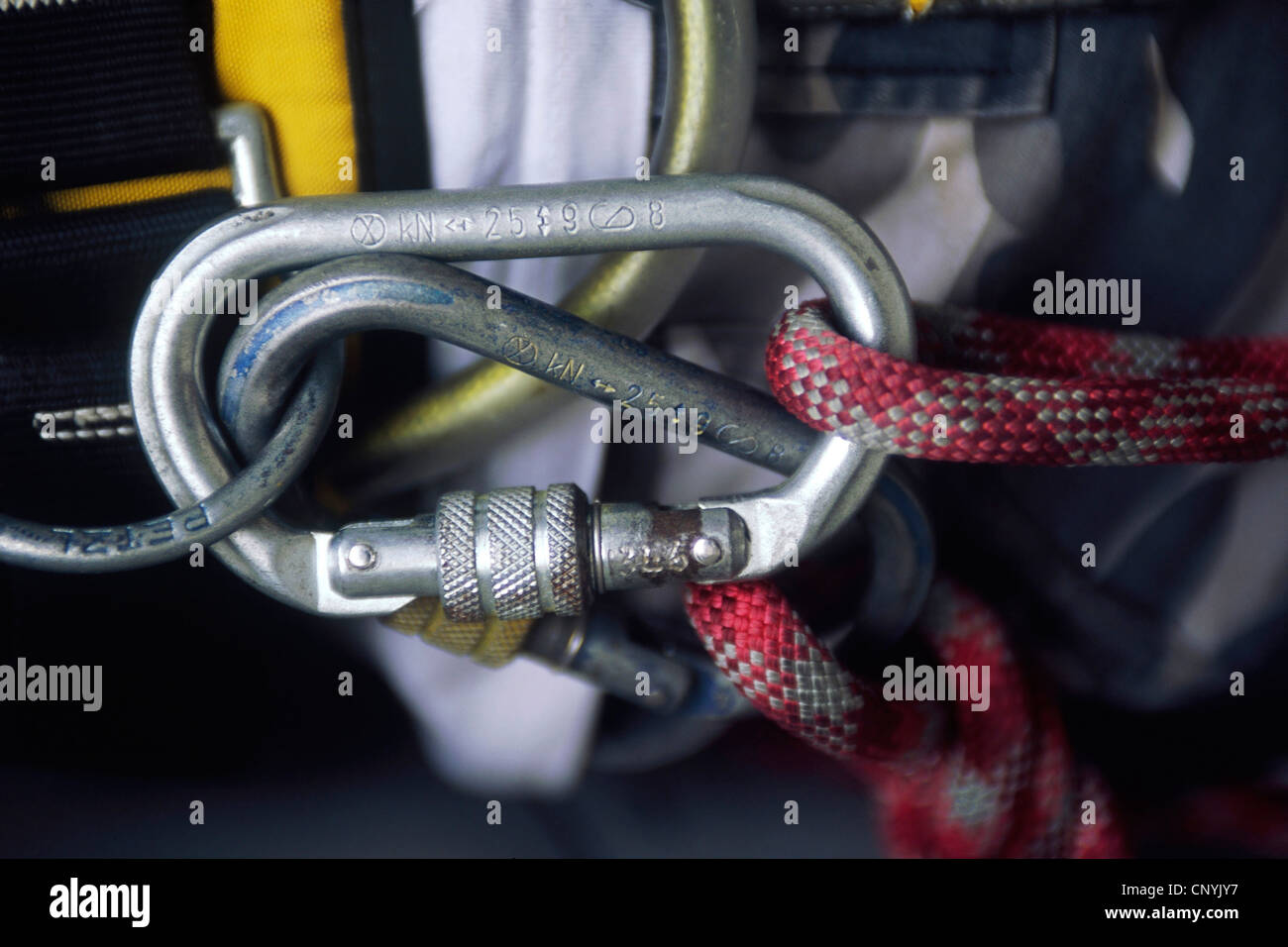 Rope used to secure harness hi-res stock photography and images - Alamy