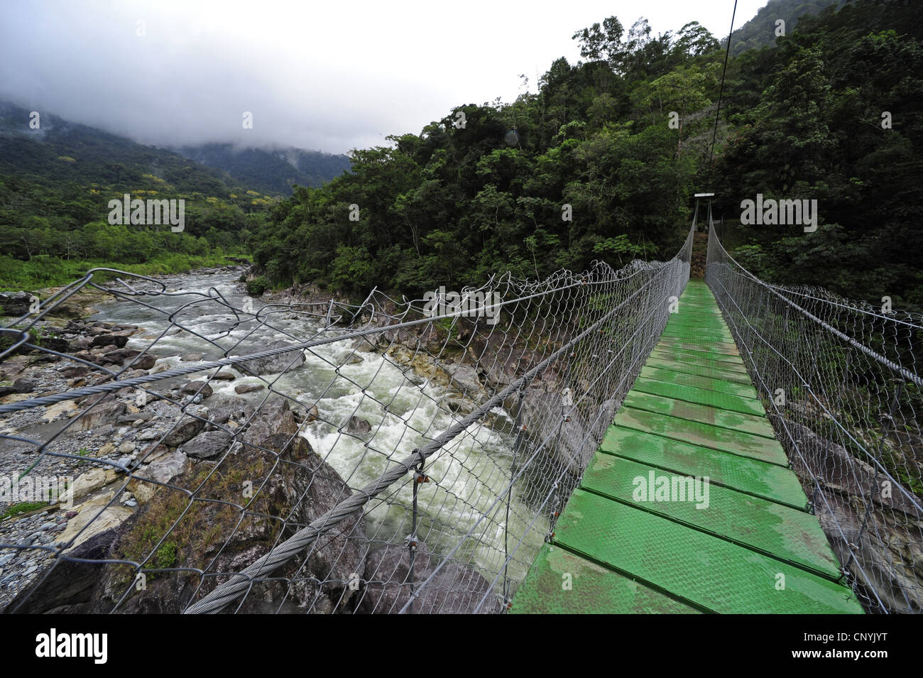 chain bridge hanging over a riverine, Honduras, Pico Bonito, Pico Bonito Nationalpark Stock Photo