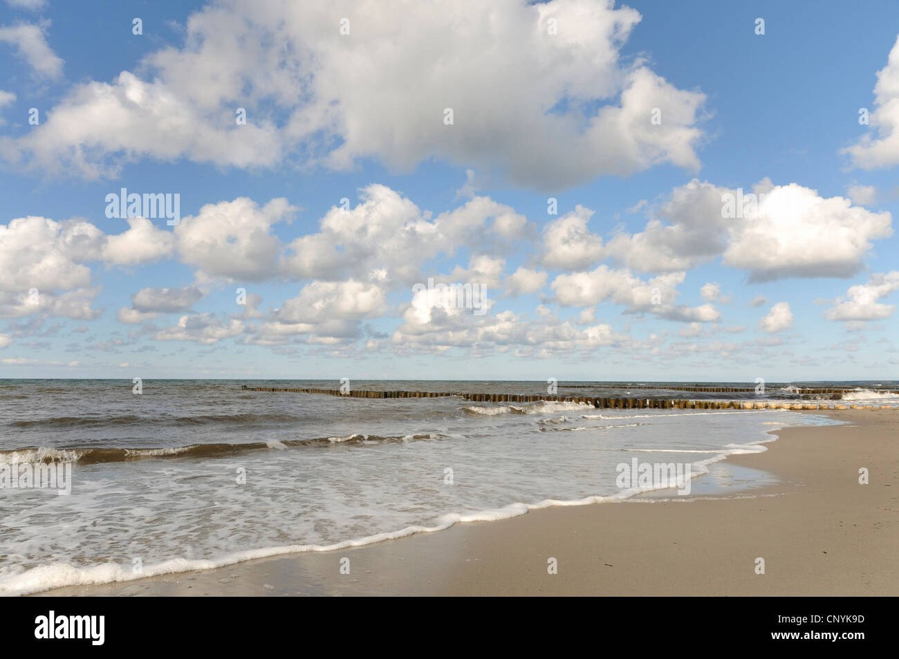 Baltic Sea coast with spur dike, Germany, Mecklenburg-Western Pomerania Stock Photo
