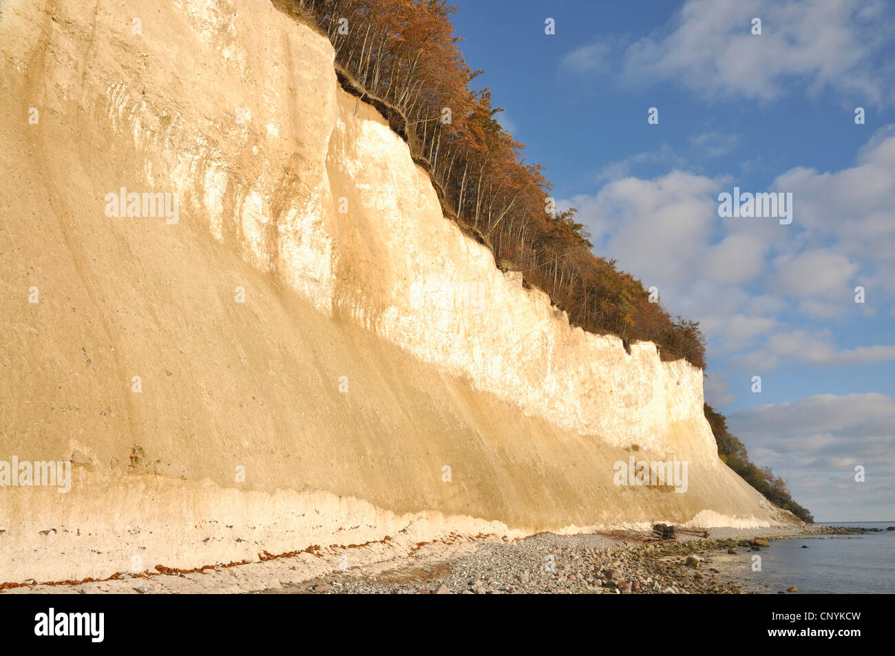 chalk cliff coast, Germany, Mecklenburg-Western Pomerania, Nationalpark Jasmund Stock Photo