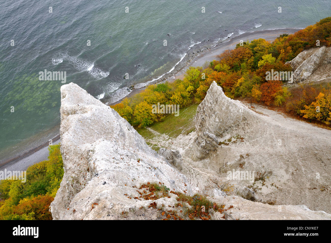view down the chalk cliffs, Germany, Mecklenburg-Western Pomerania, Nationalpark Jasmund, Ruegen Stock Photo