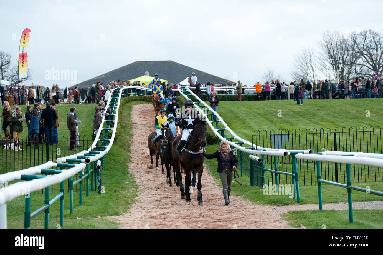 Horse Being Led High Resolution Stock Photography and Images Alamy