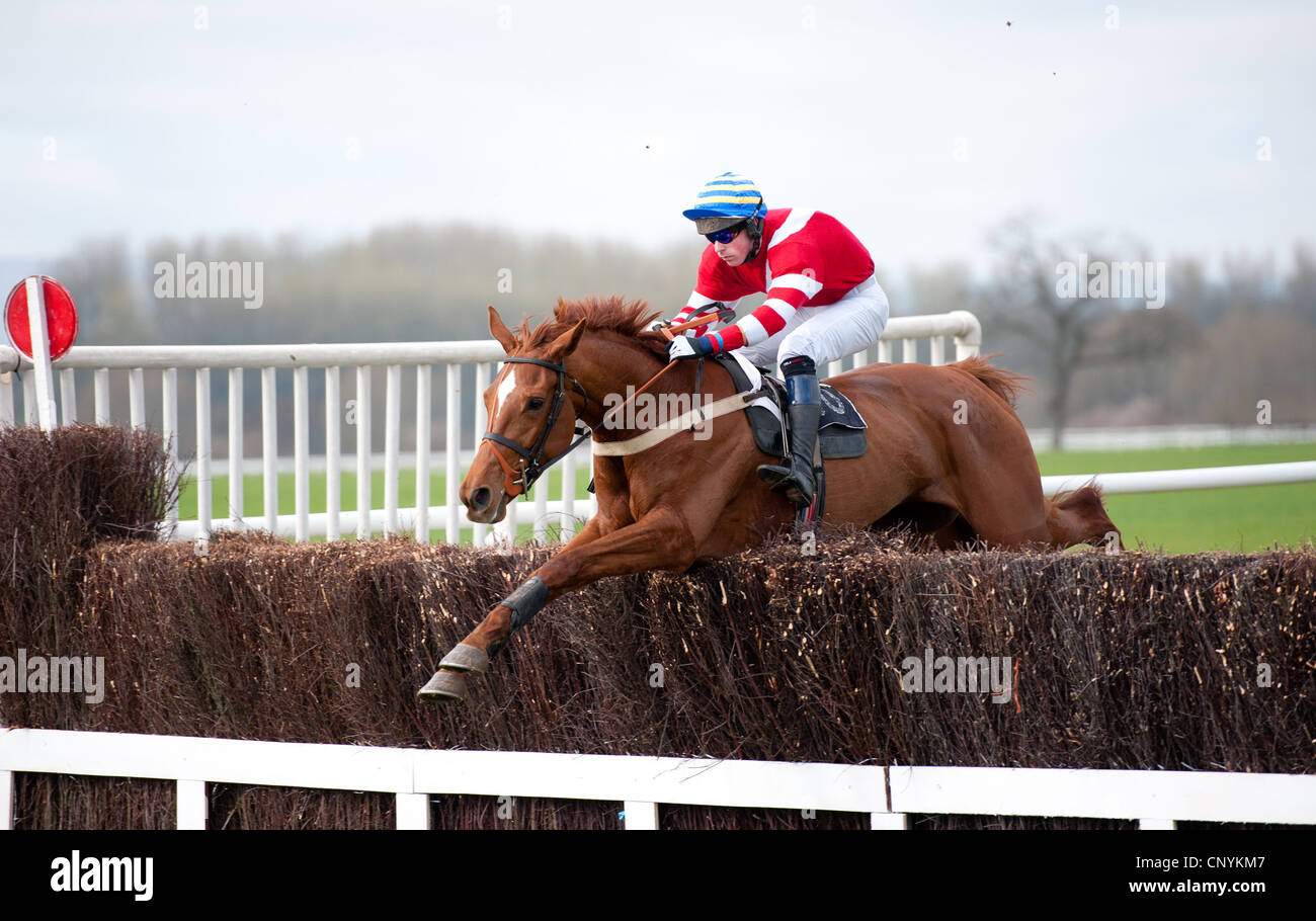 A national hunt horse jumping a fence Stock Photo