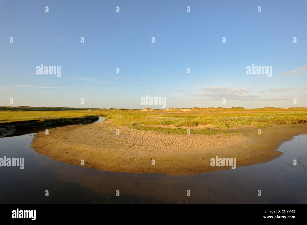 Salt Puddle Salt puddle hi-res stock photography and images - Alamy