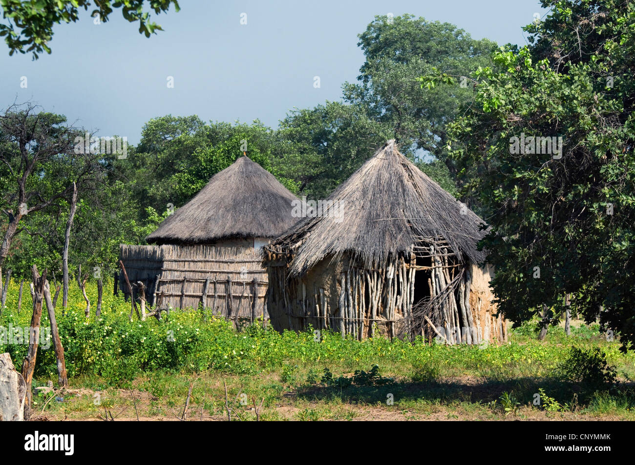 thatched huts of a village near Tsodilo, Botswana Stock Photo