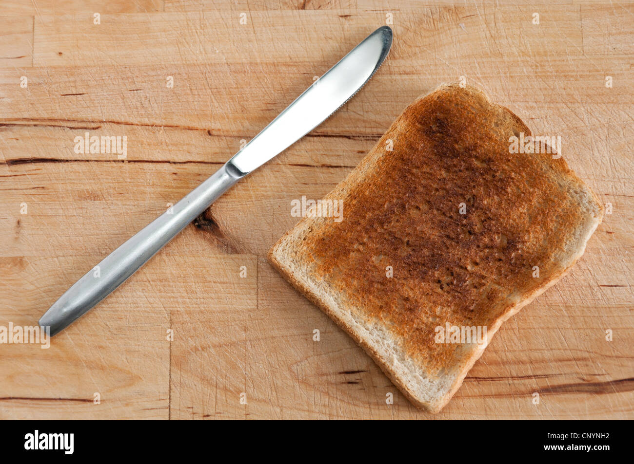 Slice of plain dry toast Stock Photo Alamy