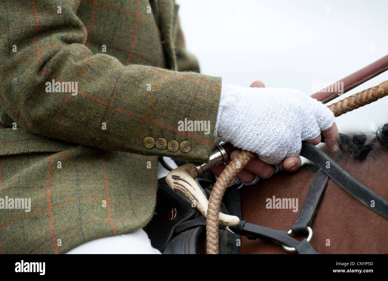 Hunting tweed and crop Stock Photo Alamy