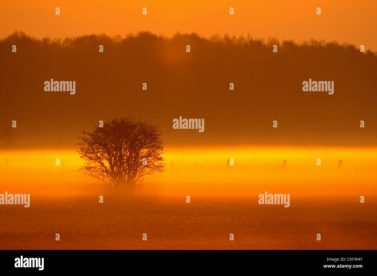 Misty fog field hi-res stock photography and images - Alamy
