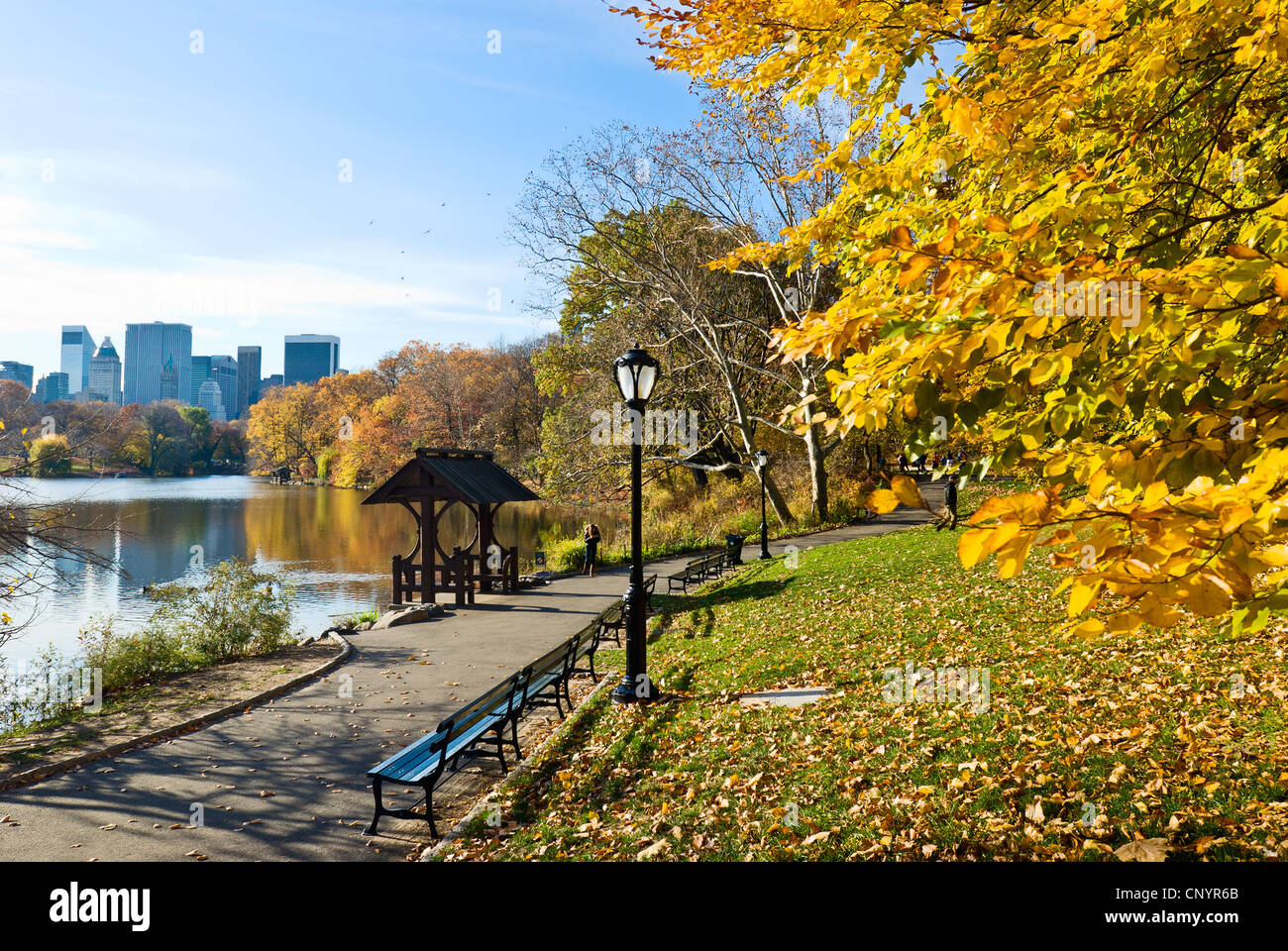 Central Park Autumn Leaves, The Lake New York City in Fall Stock Photo