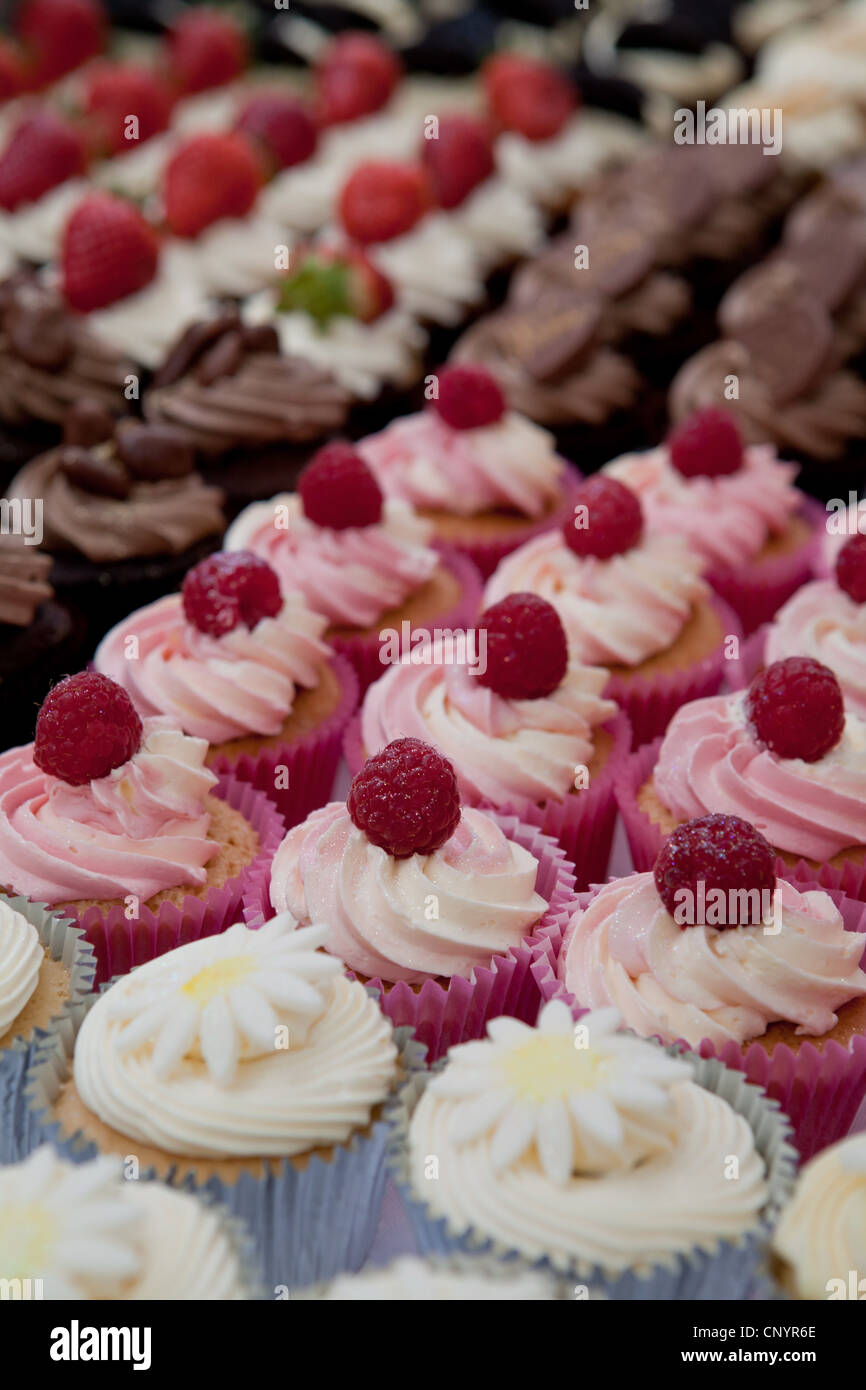 Cup & fairy cakes Stock Photo