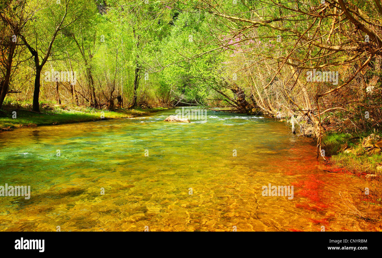Beautiful Peaceful Landscape With Forest River And Green Trees Stock Photo Alamy