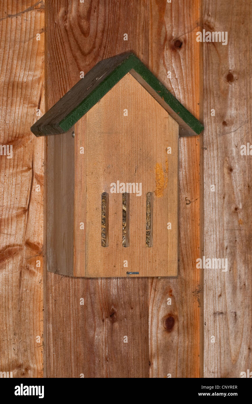 butterfly box in the garden serving as hibernation aid, Germany Stock Photo Alamy