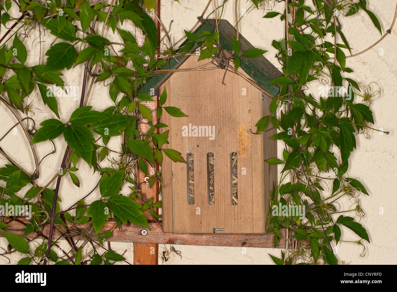 butterfly box in the garden serving as hibernation aid, Germany Stock ...
