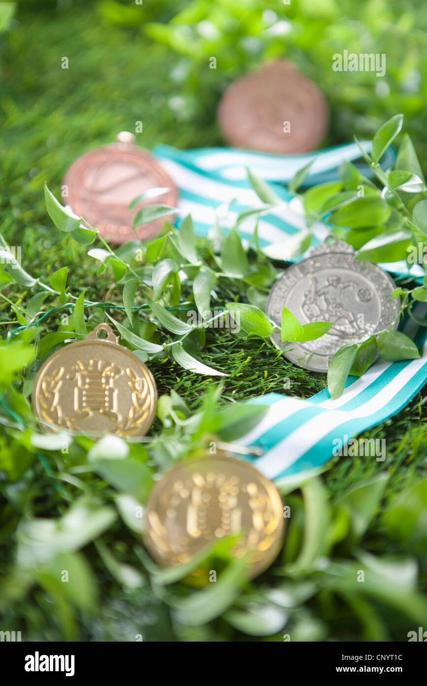 The gold, silver, and bronze prize medal on the grass Stock Photo Alamy