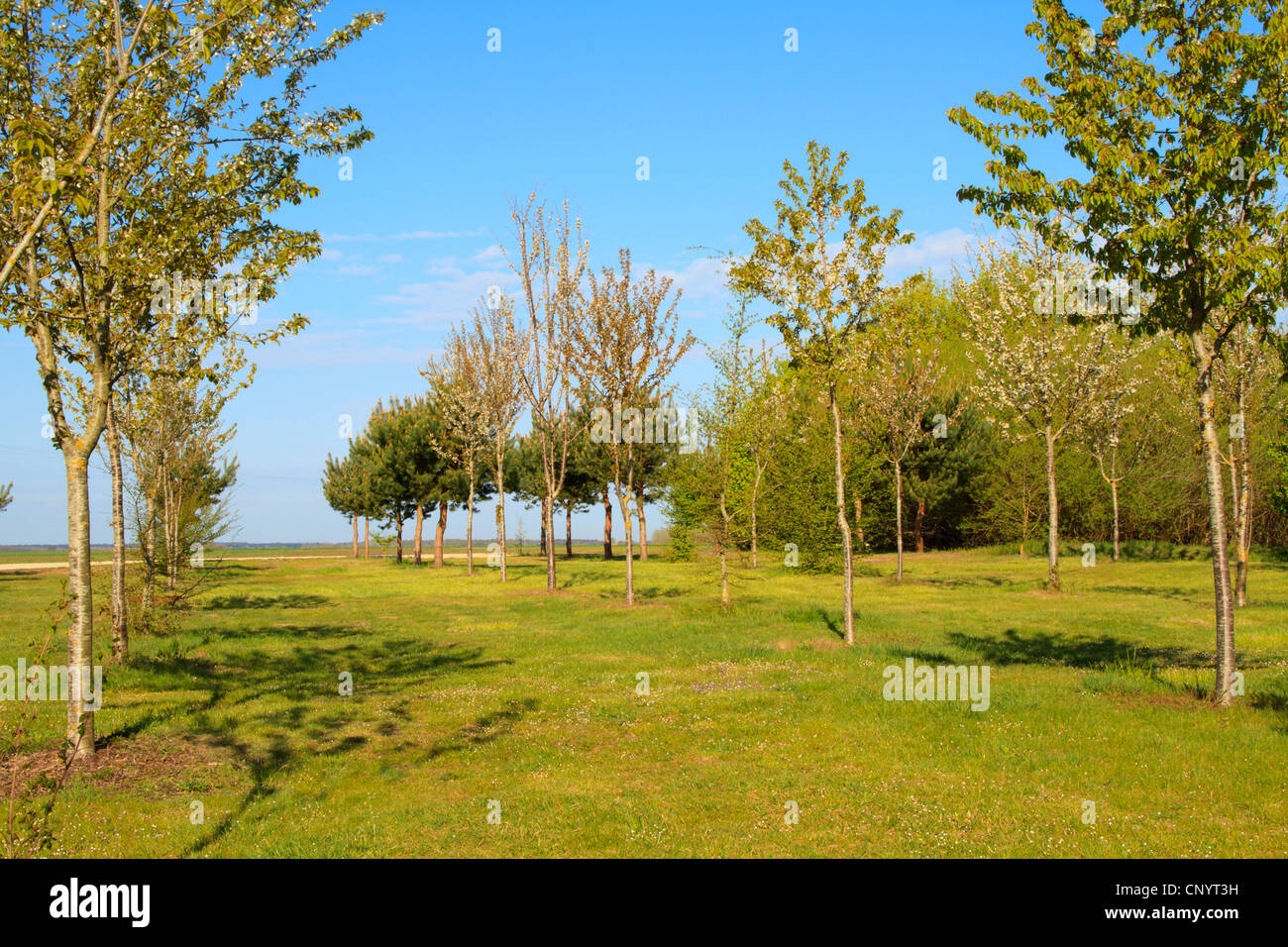 Growth rural scene hi-res stock photography and images - Alamy