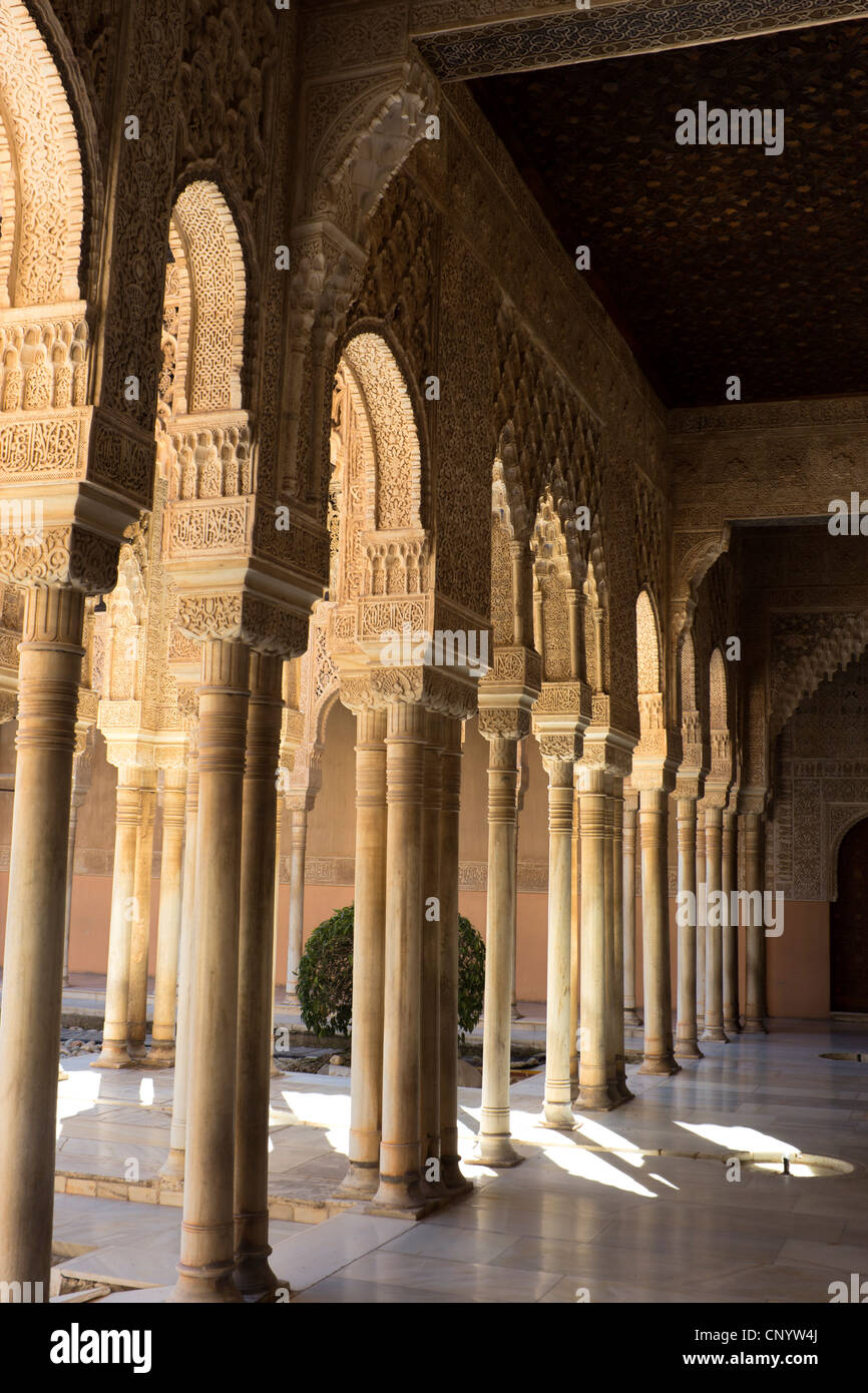Alhambra Palace, Granada, Andalucia, Spain. Detail of Palace of the Lions. Stock Photo