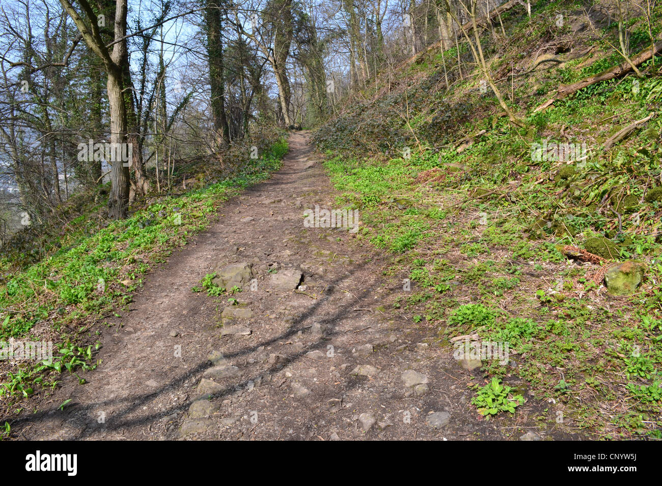 Hiking Path in Matlock Bath, Derbyshire, UK. Stock Photo