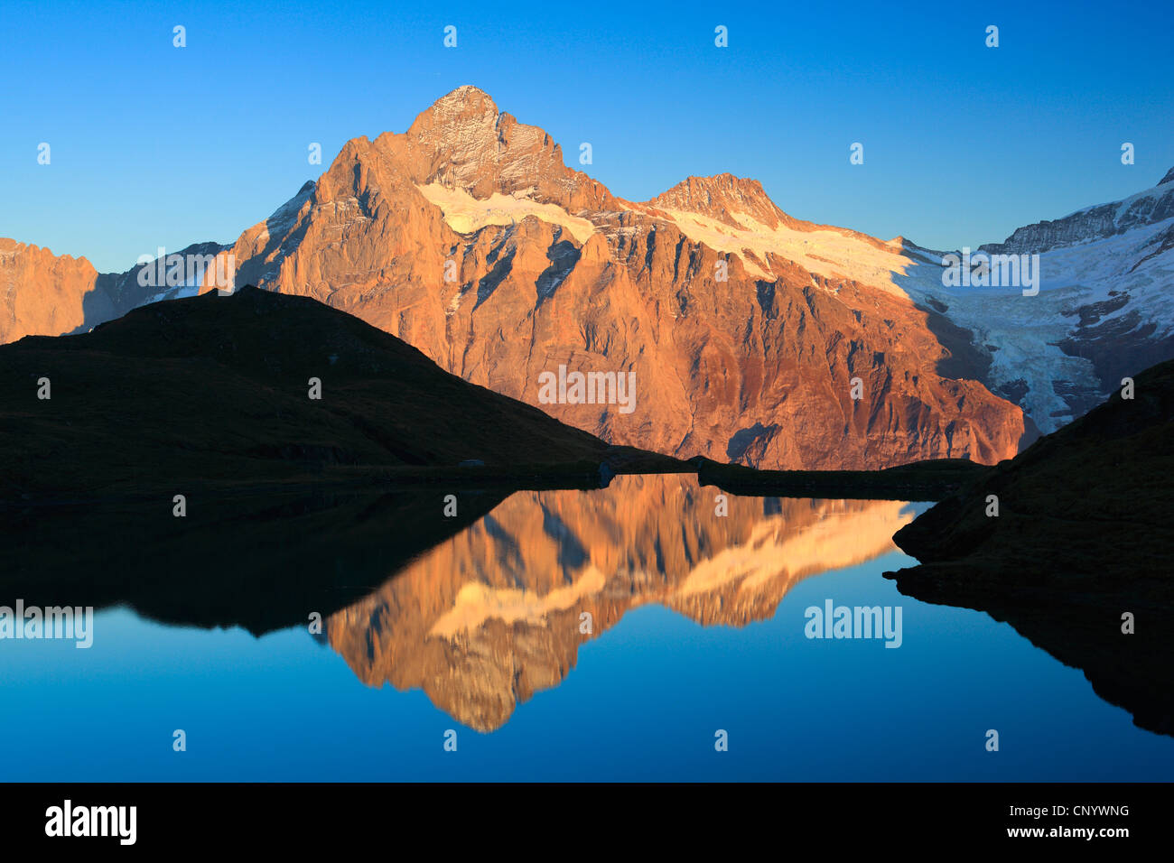 view over lake at mountain range with sunlit Wetterhorn (3704 m), Switzerland, Berne, Grindelwald, First Stock Photo