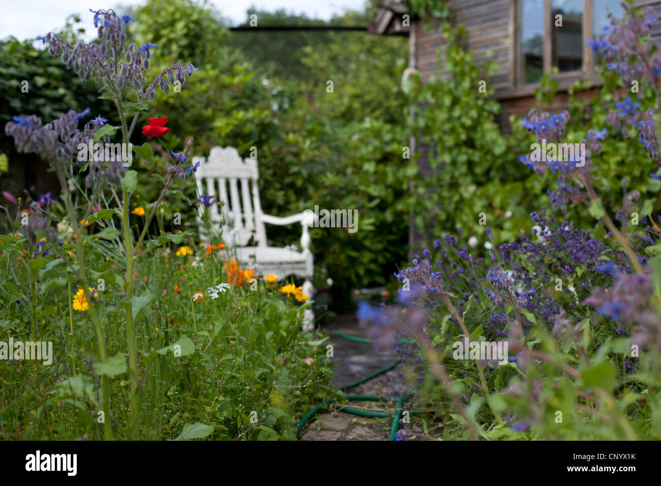 In an English Country Garden Stock Photo - Alamy