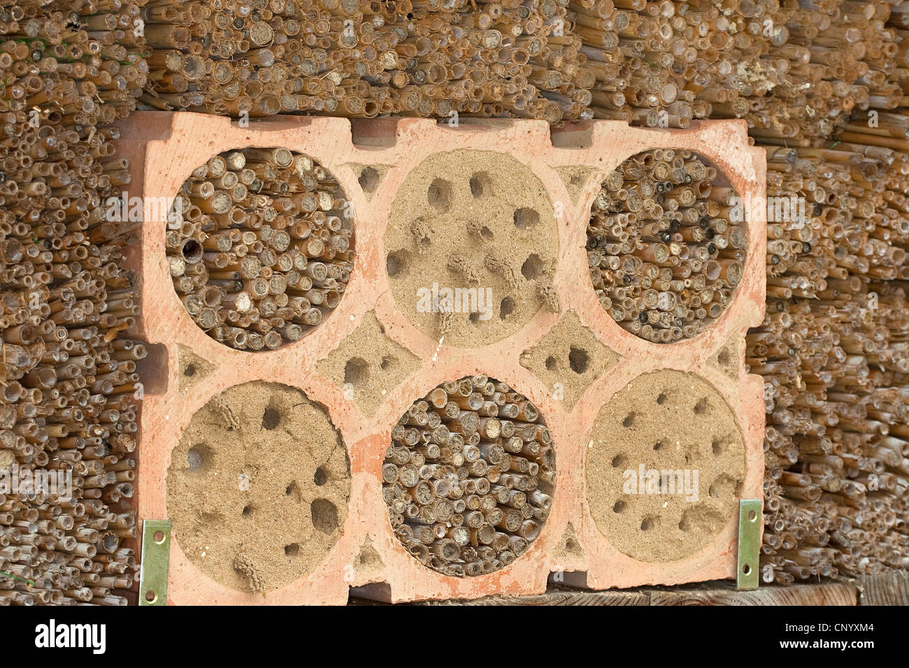 insect house, nesting aids for bees and wasps Stock Photo