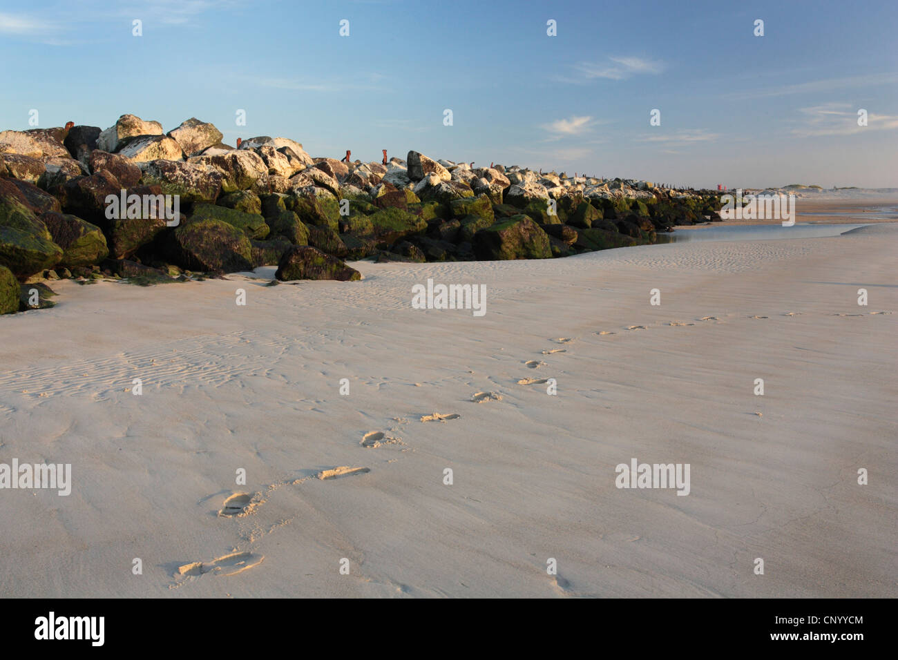 wave-breakers on the dune of north beach, Germany, Helgoland Duene Stock Photo