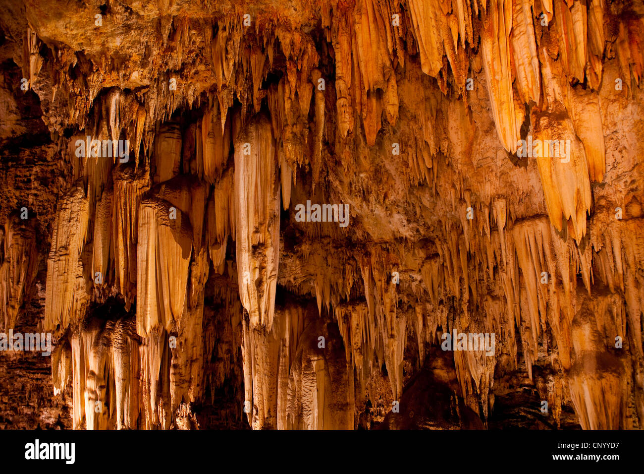 Kromdraai à La Découverte Du Premier Humain Wonder Cave, Kromdraai, Cradle of Humankind, Gauteng, South Africa