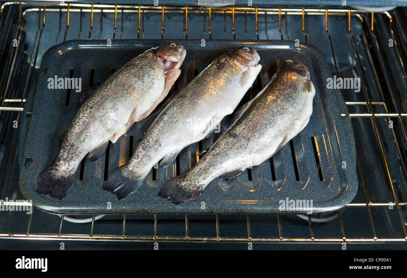 https://c8.alamy.com/comp/CP00A1/fresh-fish-on-broiler-pan-on-top-rack-in-electric-oven-CP00A1.jpg