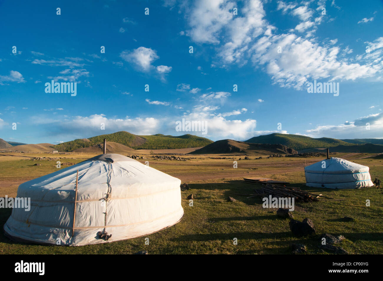 traditional ger tents in the Orkhon River Valley of Central Mongolia ...