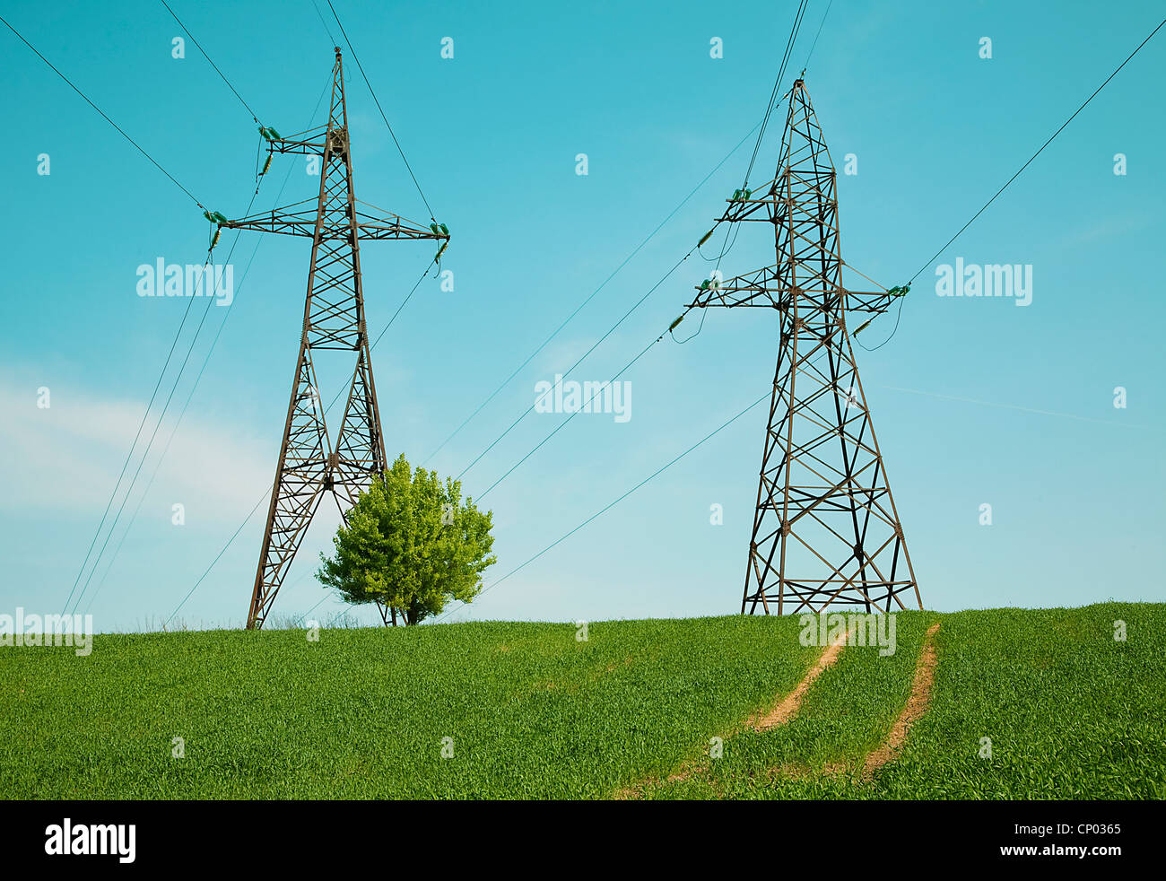 Electric power lines on the green field Stock Photo Alamy