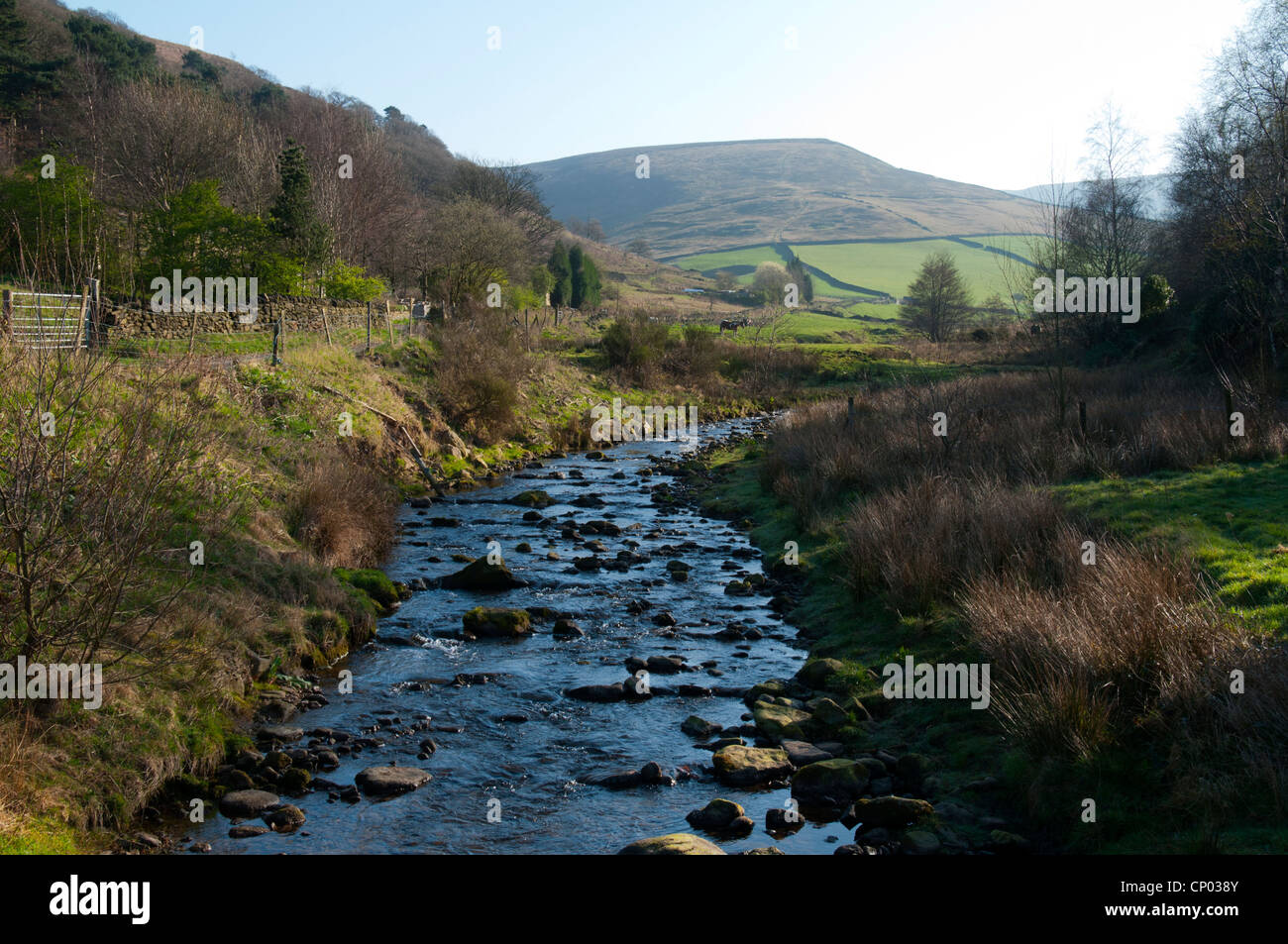 Bleaklow and the Shelf Brook at the start of the Doctor's Gate path near Glossop, Peak District, Derbyshire, England, UK Stock Photo