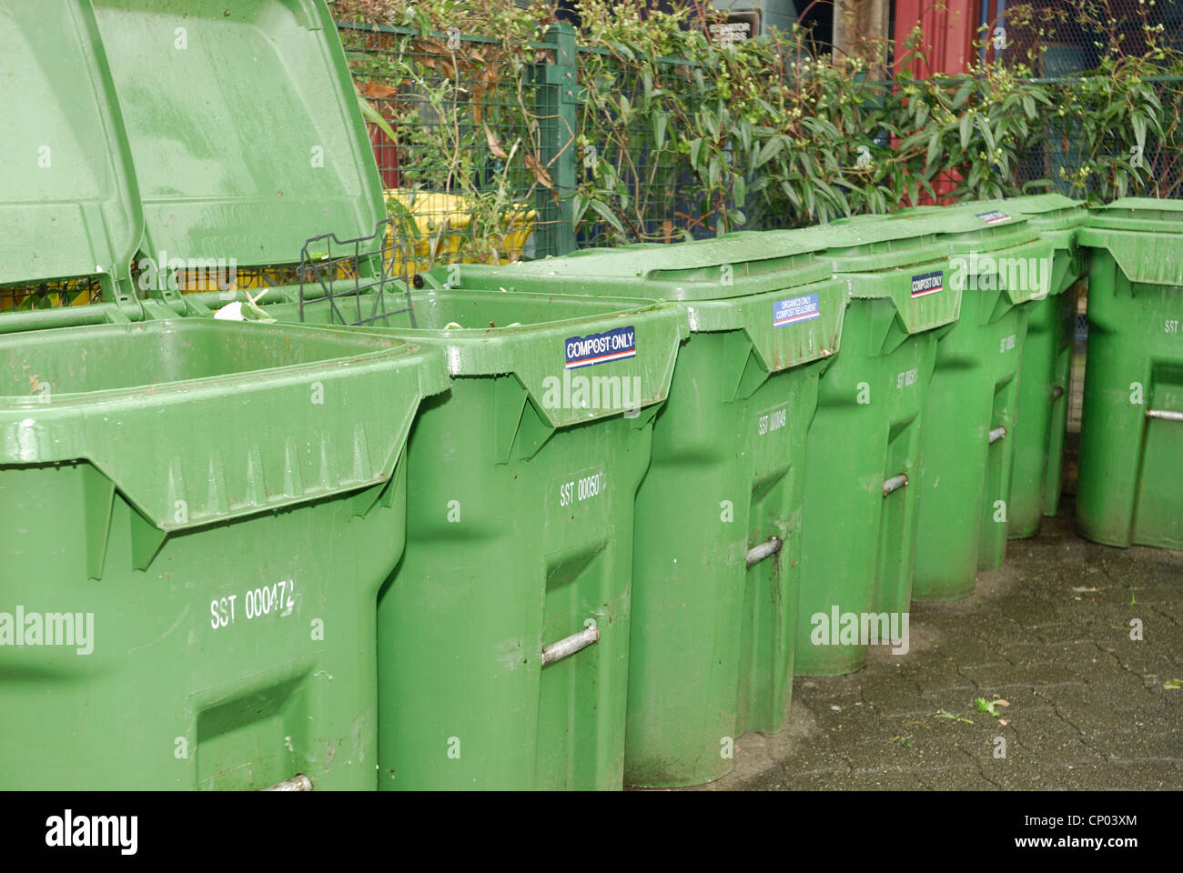 Compost Wheelie Bin Hot Water at Dorothy Ball blog