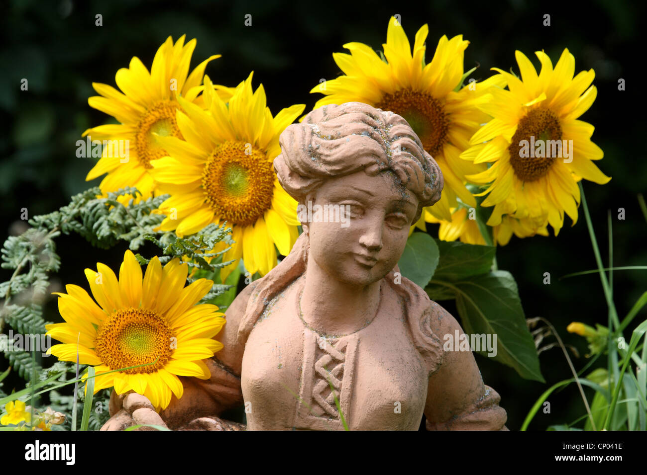 common sunflower (Helianthus annuus), garden figur with sunflowers, Germany Stock Photo